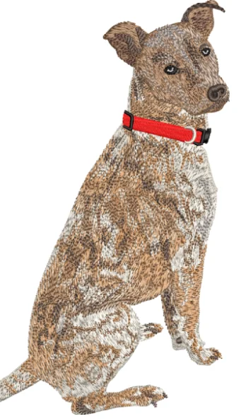 Dog Embroidery Design