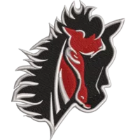 Cool Horse