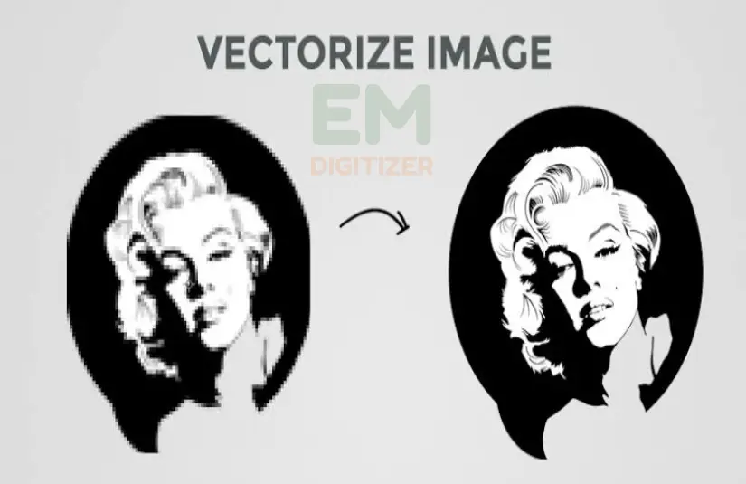 Conversion de photos en vecteurs