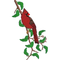 Cardinal