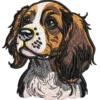Cute Dog