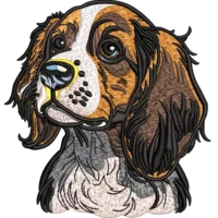 Cute Dog