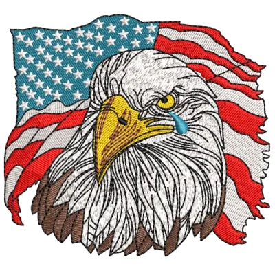 Орел с флагом США