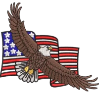 USA Adler Flagge Patch