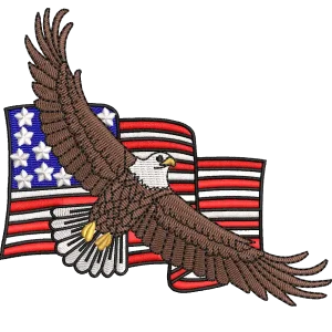 Toppa con bandiera dell'aquila USA