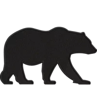 Grizzly Bear