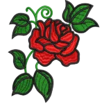 Bella rosa rossa