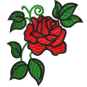 Bella rosa rossa