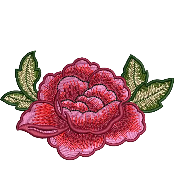 Rosa elegante