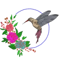 Kolibri