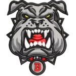 Bulldog grigio arrabbiato