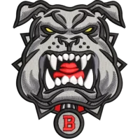 Bulldog gris enojado