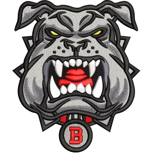 Bulldog grigio arrabbiato