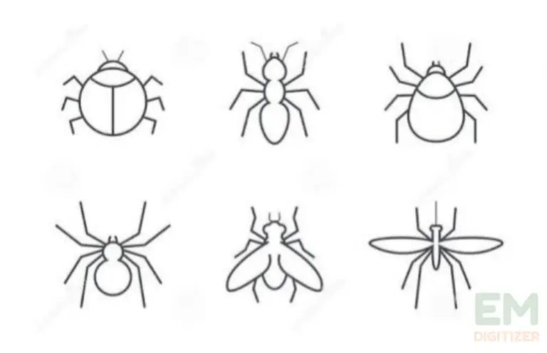 Käfer und Insekten