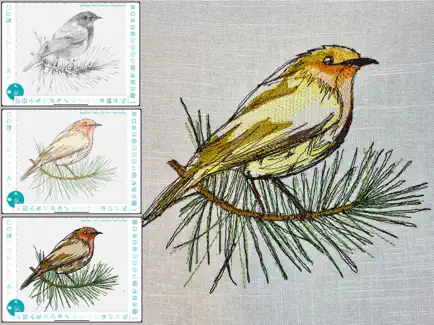 Diseño Doodler diseño pájaros.