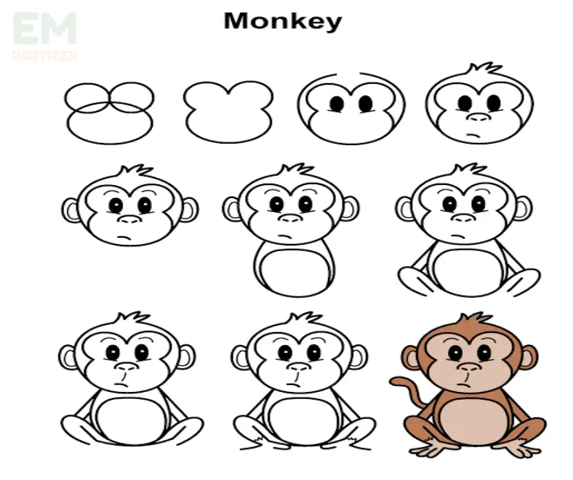 Monkey