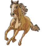 Wild Horses