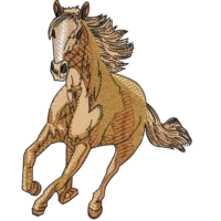 Wild Horses