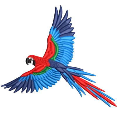 Perroquet volant coloré