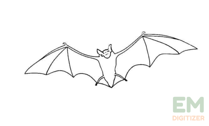 How to draw a bat