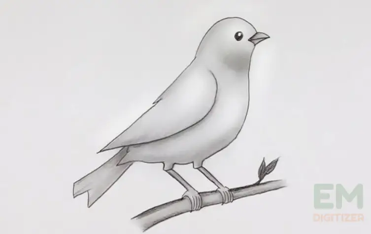 How to draw a bird 