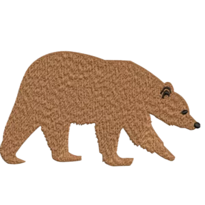Simpatico orso bruno