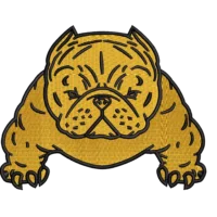 American Bully