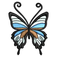 Butterfuly