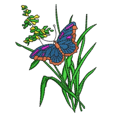 Flor de mariposa