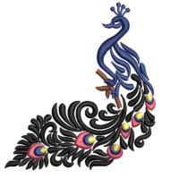 Peacock