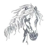 Horse Head