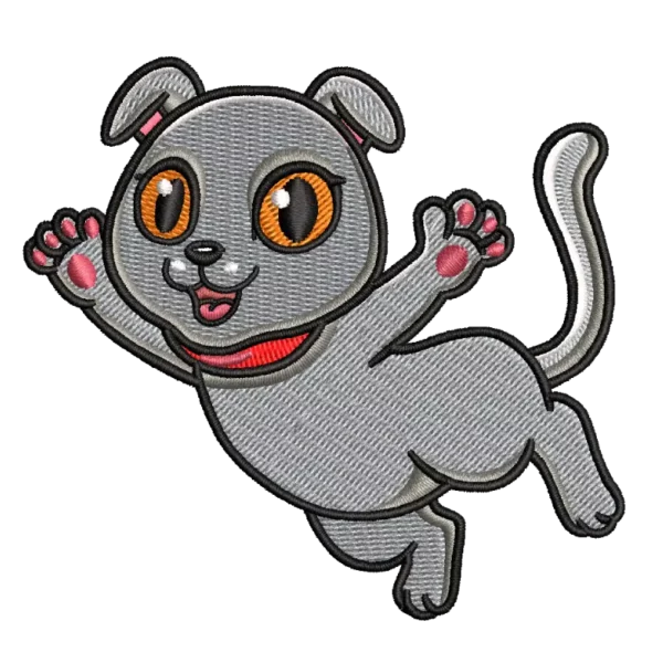 Scottish Fold Cat