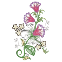 Attractive Flower