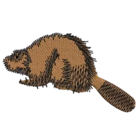 Beaver