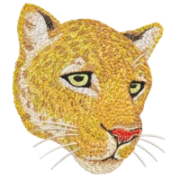 Cat Face