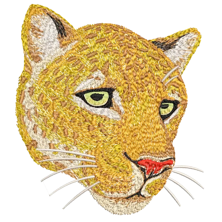 Cat Face