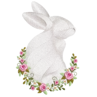 Cute Bunny