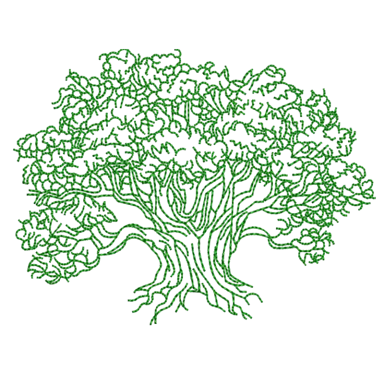 Olive Tree