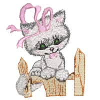 Baby Cat