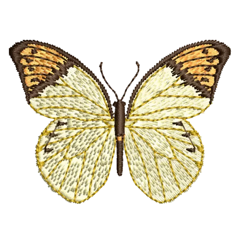 Butterfly Watercolor