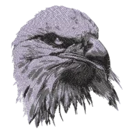 Eagle Face