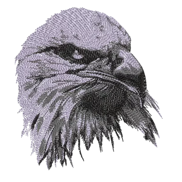 Eagle Face