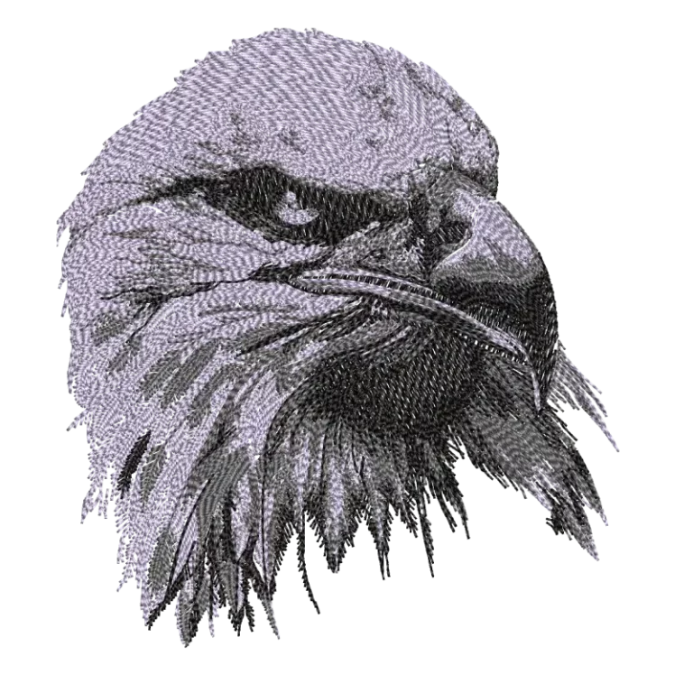 Eagle Face