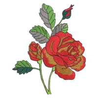 Red Rose Flower