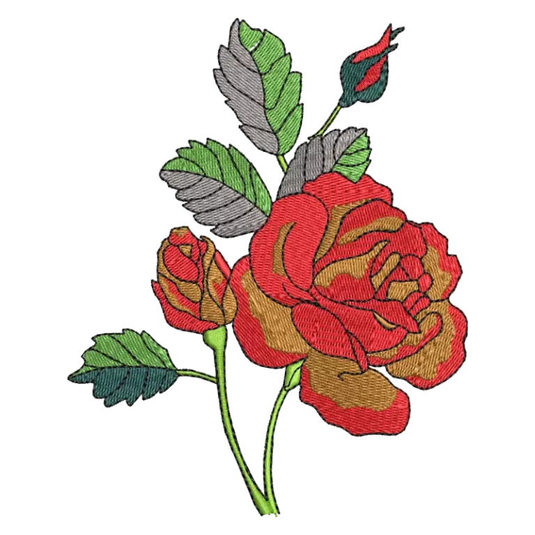 Red Rose Flower