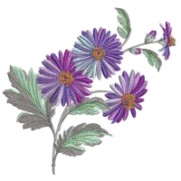 Wildflower