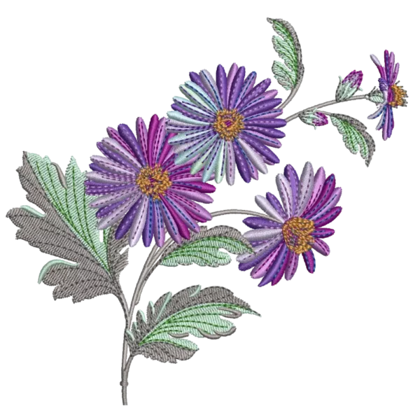 Wildflower