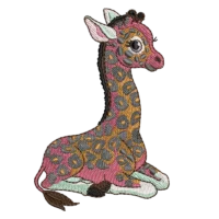 Baby Giraffe