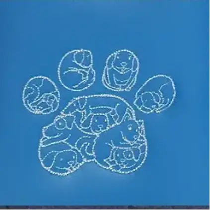 Embroidery-on-vinyl