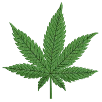 Marijuana Leaf